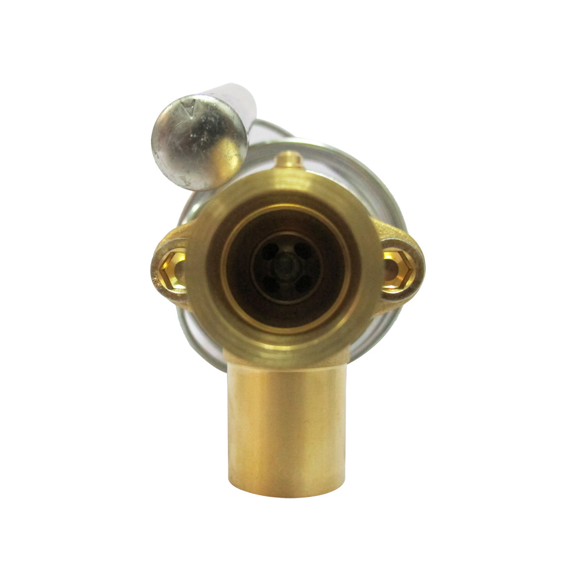 Emerson Thermal Expansion Valve TER 55 HW 100 (059336) Koolio